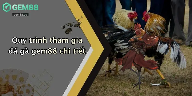 Đá Gà Gem88 4 Quy trình tham gia đá gà gem88 chi tiết